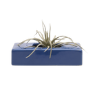 Swayzak Ceramic Dish For Ikebana Kenzans - Chive US Wholesale