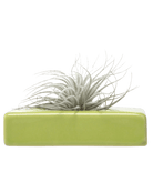 Swayzak Ceramic Dish For Ikebana Kenzans Kit - Chive US Wholesale