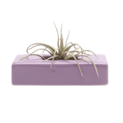 Swayzak Ceramic Dish For Ikebana Kenzans - Chive US Wholesale