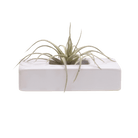 Swayzak Ceramic Dish For Ikebana Kenzans - Chive US Wholesale