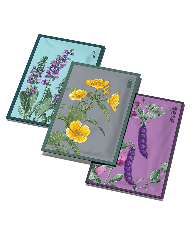 Pre - Order 2025 - 126 Seeds (Available Now) - Chive US Wholesale