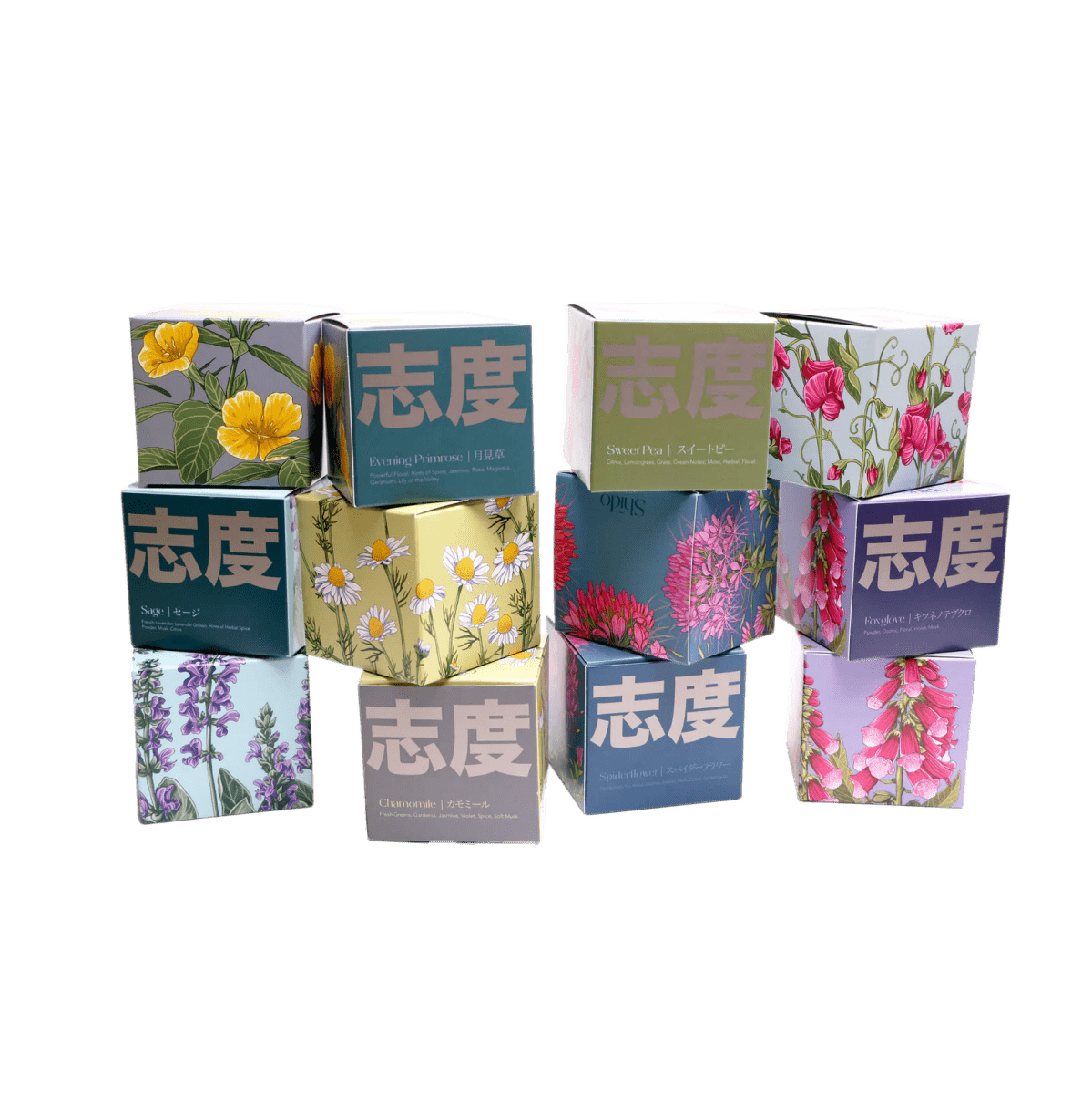 Shido Candles - 36pc Assortment - Chive US Wholesale