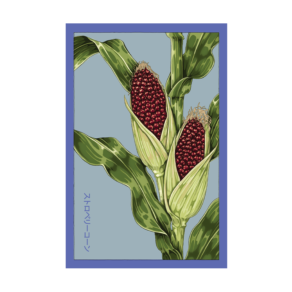 Strawberry Corn Vegetable Seeds Packet - Chive US Wholesale