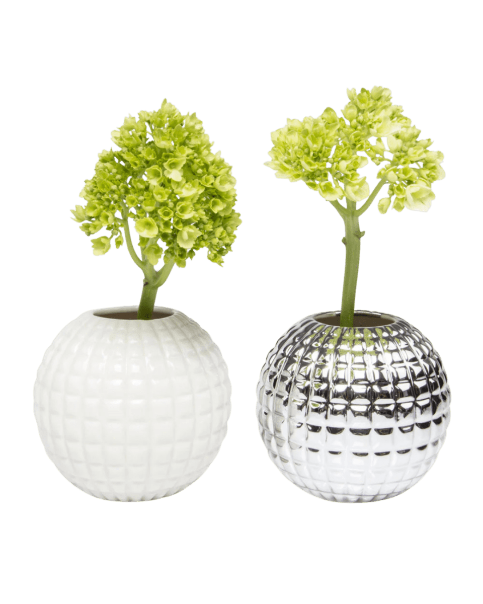 Tac Porcelain Flower Vase Kit - Chive US Wholesale