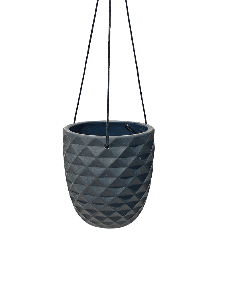Thimble Porcelain Modern Hanging Planter - Chive US Wholesale
