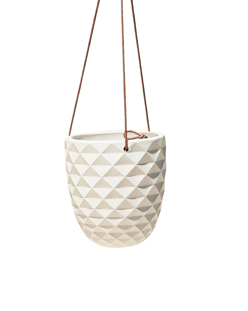 Thimble Porcelain Modern Hanging Planter - Chive US Wholesale