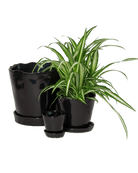 Tika Ceramic Pot & Saucer Set With Drainage - Chive US Wholesale