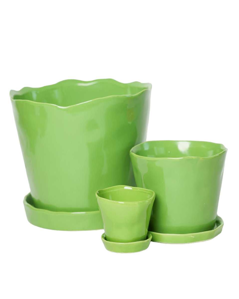 Tika Ceramic Pot & Saucer Set With Drainage - Chive US Wholesale