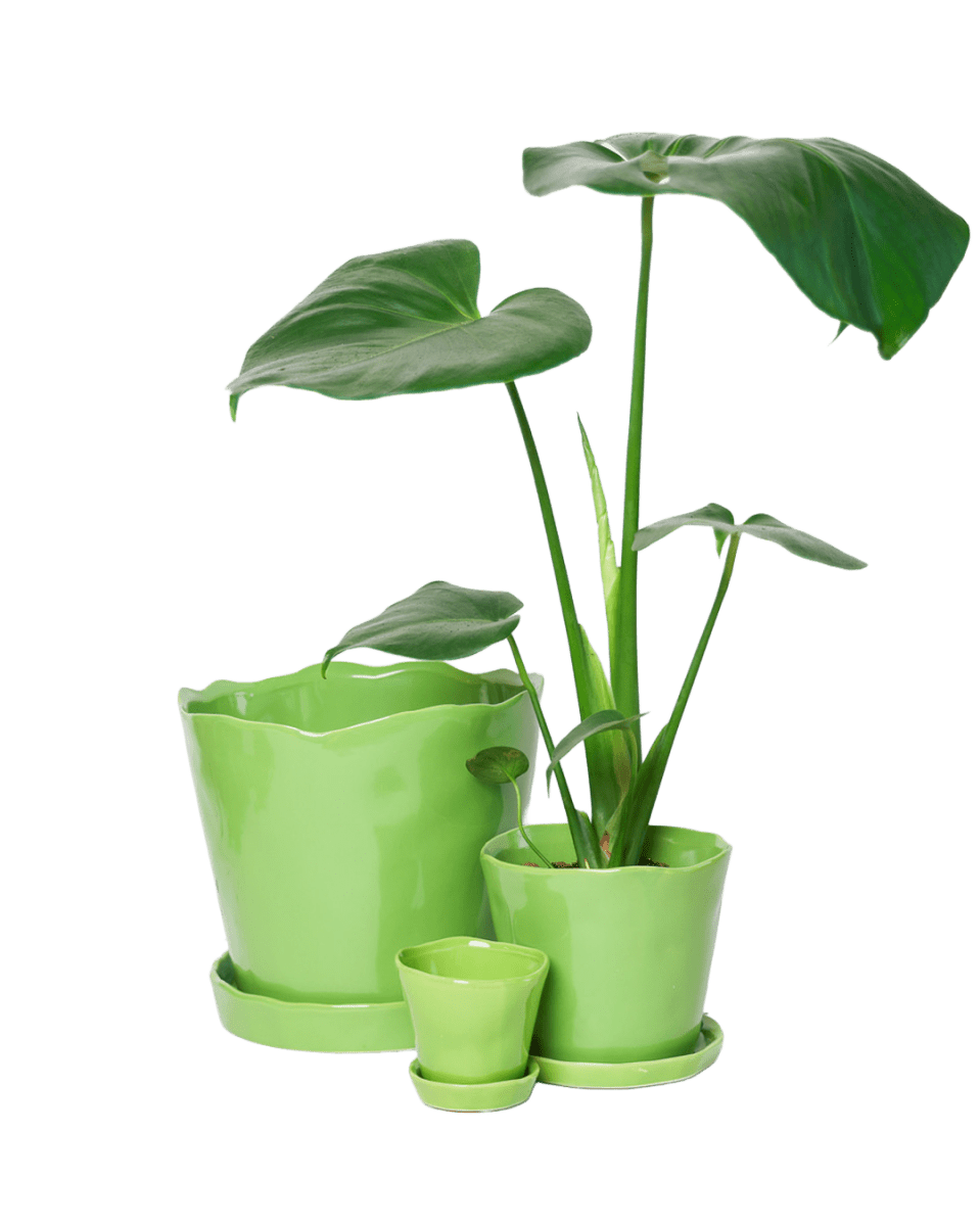 Tika Ceramic Pot & Saucer Set With Drainage - Chive US Wholesale