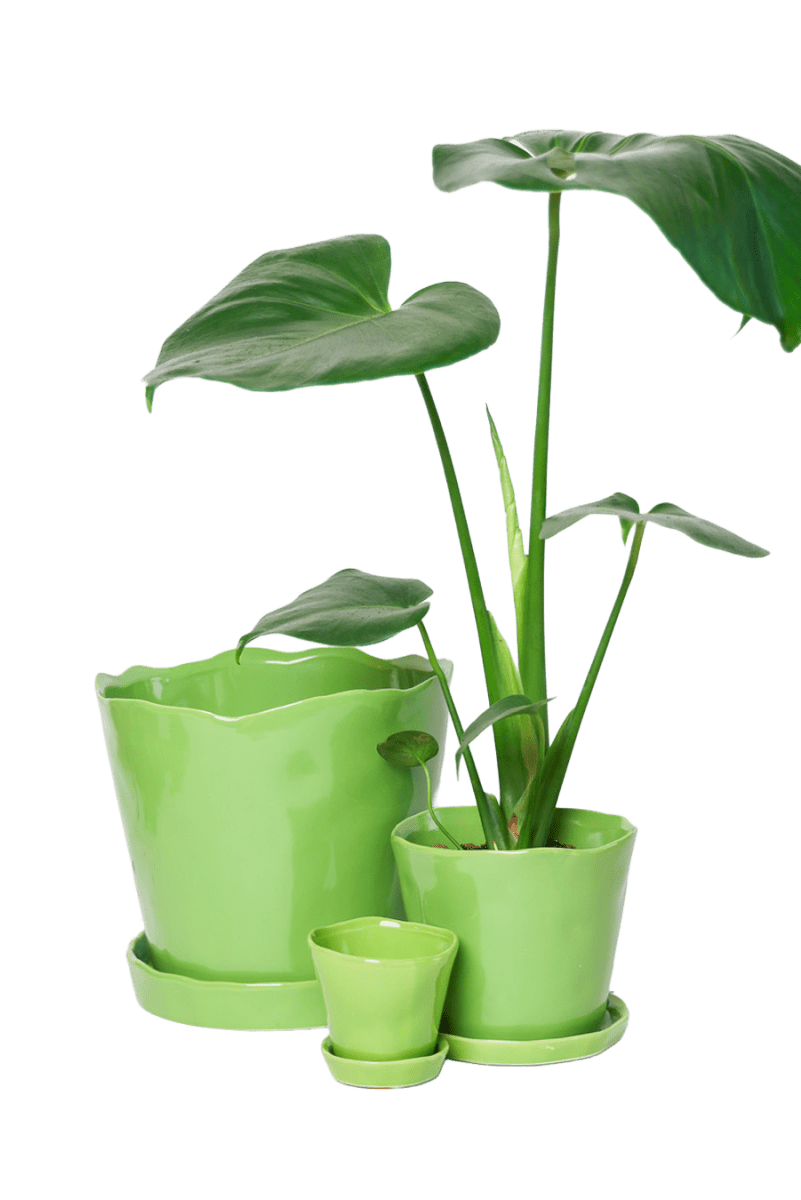 Tika Ceramic Pot & Saucer Set With Drainage - Chive US Wholesale