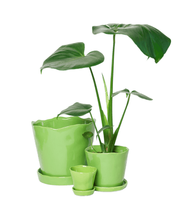 Tika Ceramic Pot & Saucer Set With Drainage - Chive US Wholesale