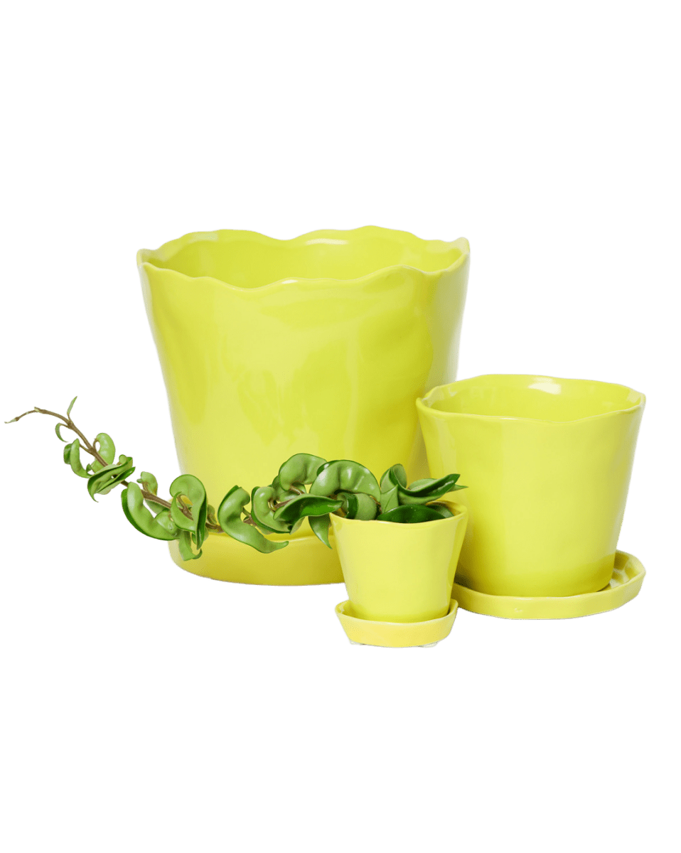 Tika Ceramic Pot & Saucer Set With Drainage - Chive US Wholesale