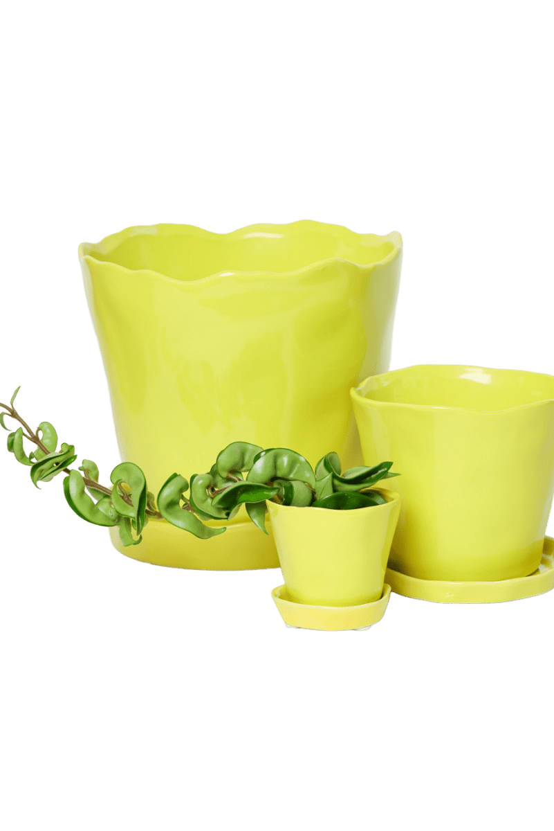 Tika Ceramic Pot & Saucer Set With Drainage - Chive US Wholesale