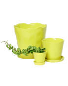 Tika Ceramic Pot & Saucer Set With Drainage - Chive US Wholesale