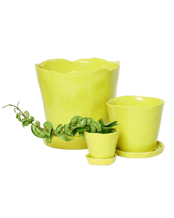 Tika Ceramic Pot & Saucer Set With Drainage - Chive US Wholesale