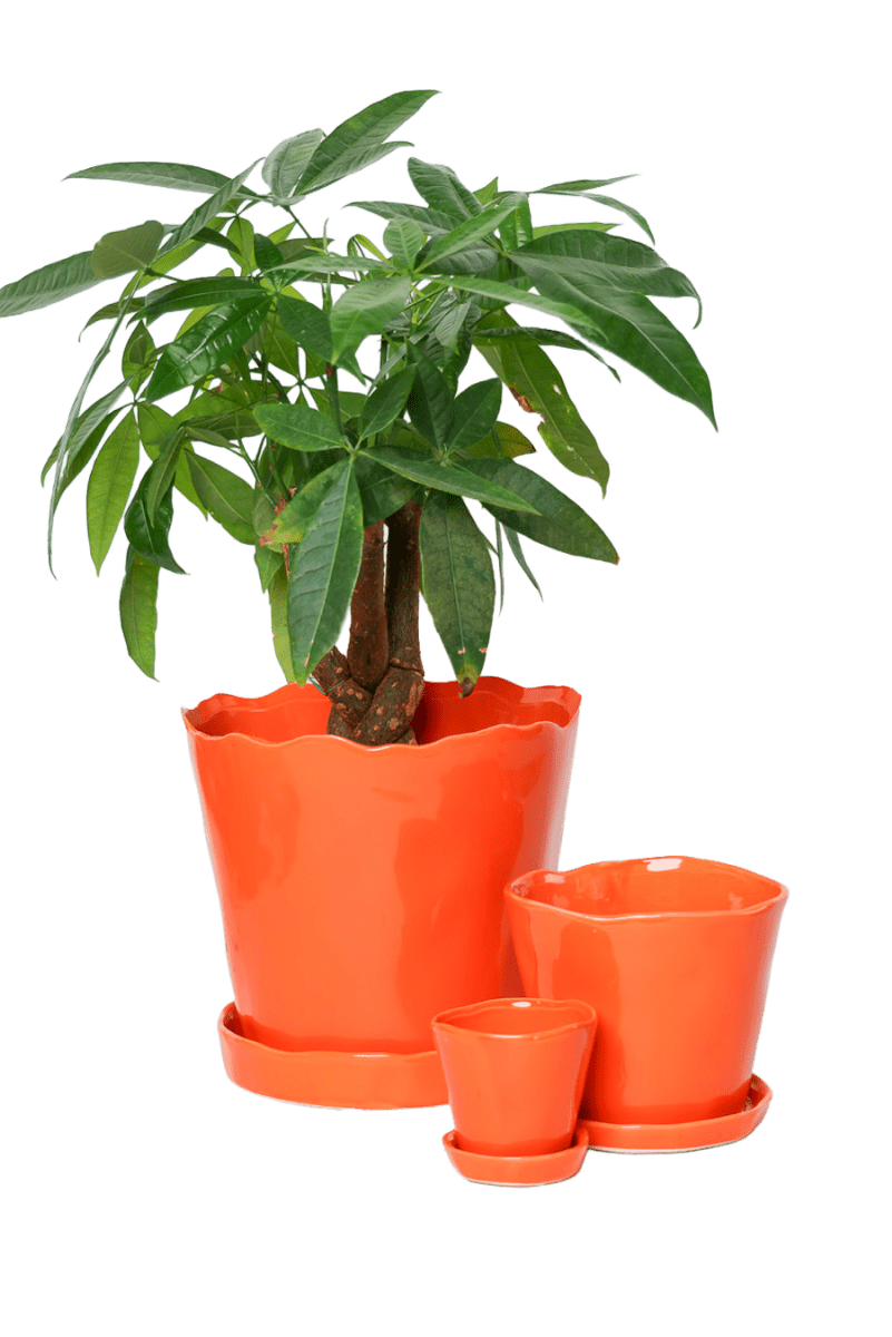 Tika Ceramic Pot & Saucer Set With Drainage - Chive US Wholesale