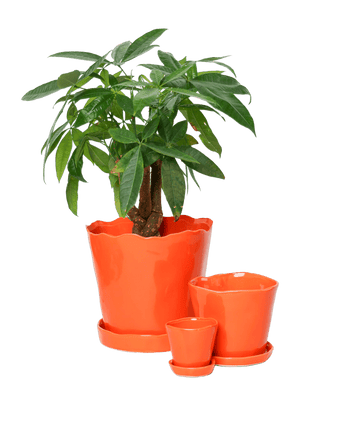 Tika Ceramic Pot & Saucer Set With Drainage - Chive US Wholesale