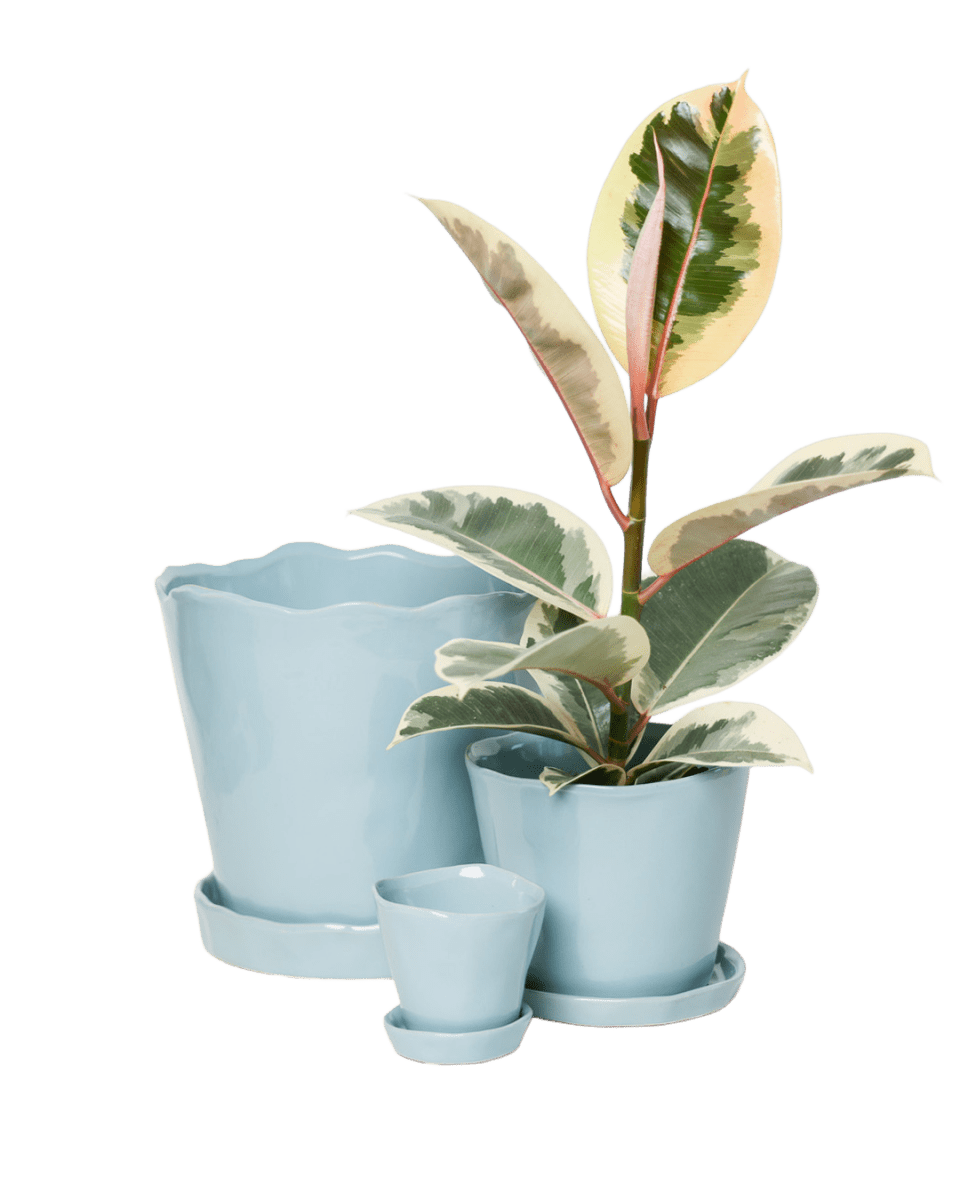 Tika Ceramic Pot & Saucer Set With Drainage - Chive US Wholesale