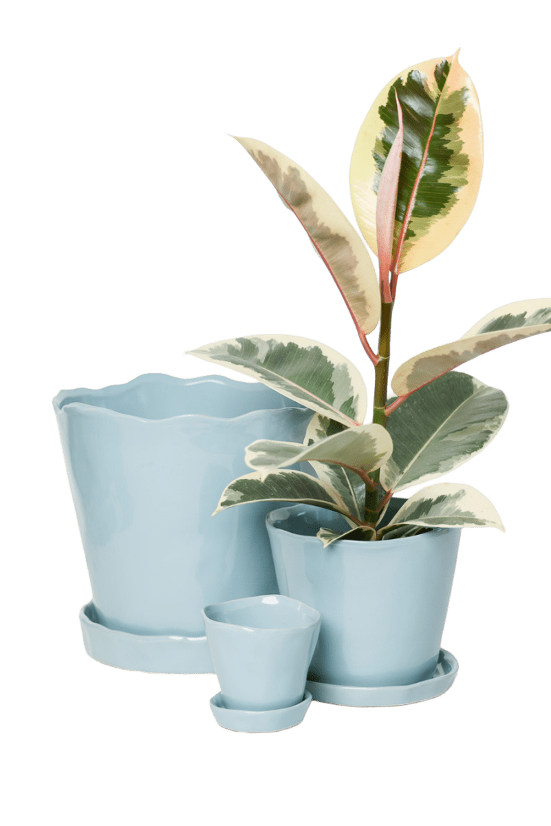 Tika Ceramic Pot & Saucer Set With Drainage - Chive US Wholesale