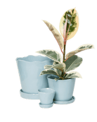 Tika Ceramic Pot & Saucer Set With Drainage - Chive US Wholesale