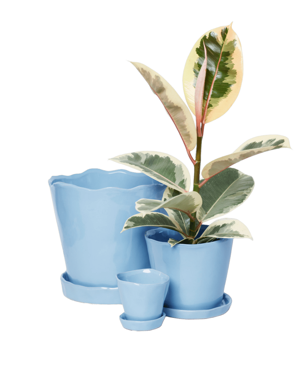 Tika Pot & Saucer | 5 inch - Chive US Wholesale