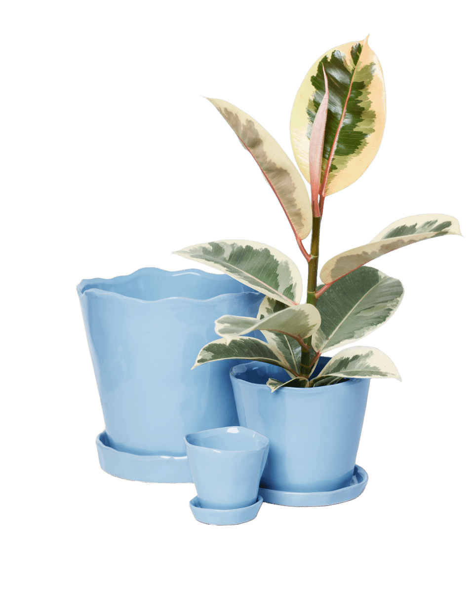 Tika Pot & Saucer | 8 & 10 inch - Chive US Wholesale