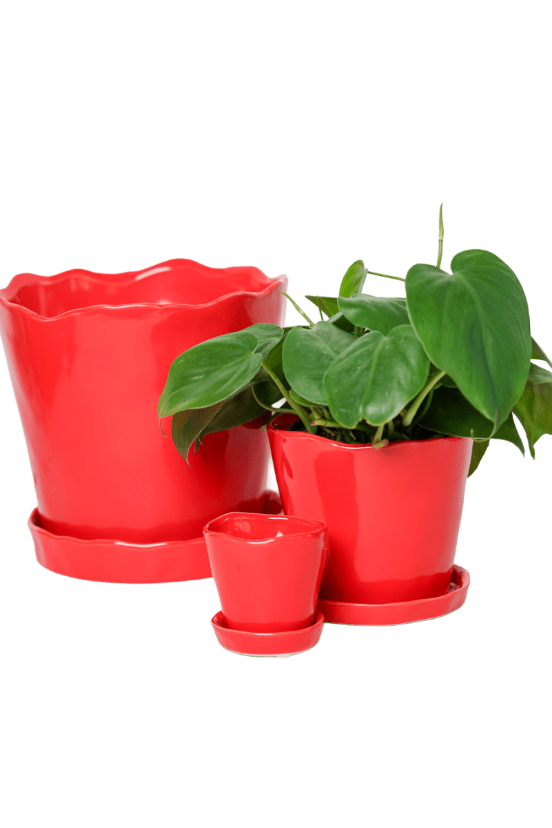 Tika Ceramic Pot & Saucer Set With Drainage - Chive US Wholesale