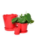 Tika Ceramic Pot & Saucer Set With Drainage - Chive US Wholesale