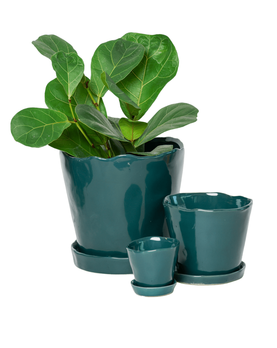 Tika Ceramic Pot & Saucer Set With Drainage - Chive US Wholesale