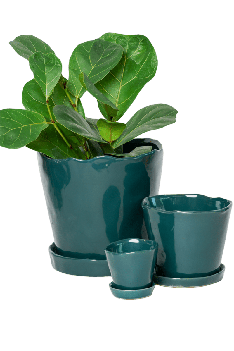 Tika Ceramic Pot & Saucer Set With Drainage - Chive US Wholesale