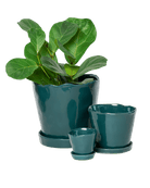 Tika Ceramic Pot & Saucer Set With Drainage - Chive US Wholesale