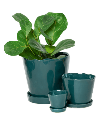 Tika Ceramic Pot & Saucer Set With Drainage - Chive US Wholesale