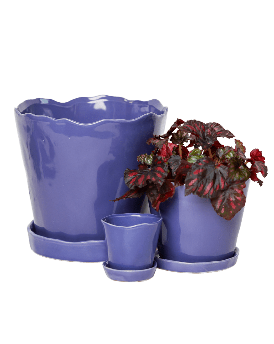 Tika Ceramic Pot & Saucer Set With Drainage - Chive US Wholesale