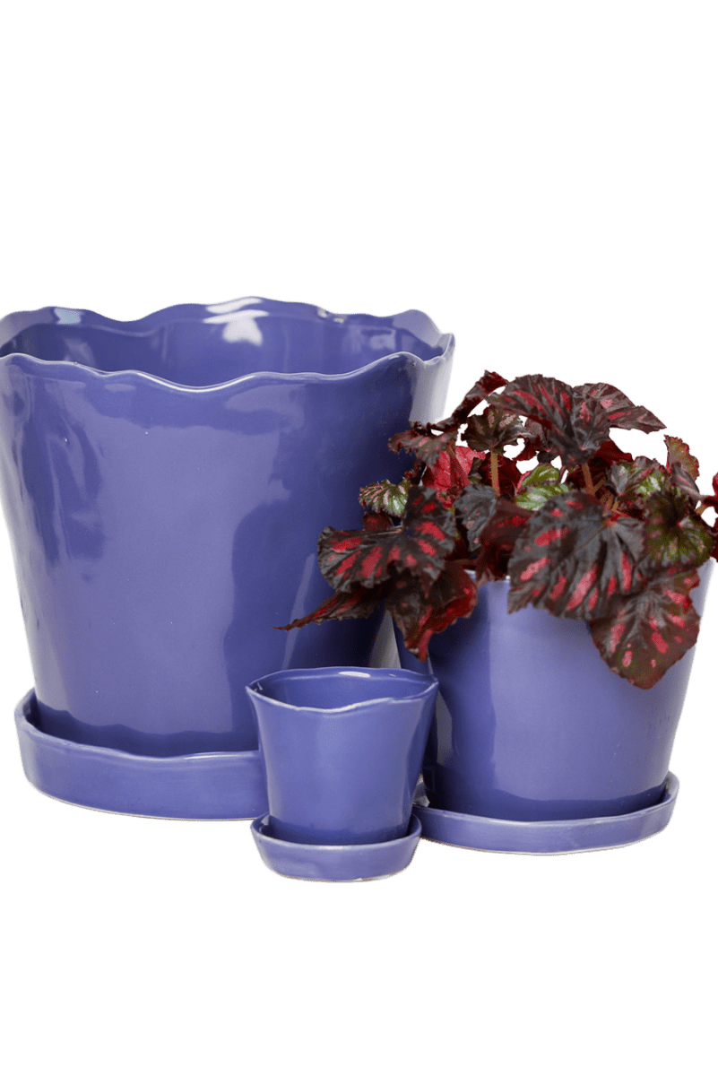 Tika Ceramic Pot & Saucer Set With Drainage - Chive US Wholesale