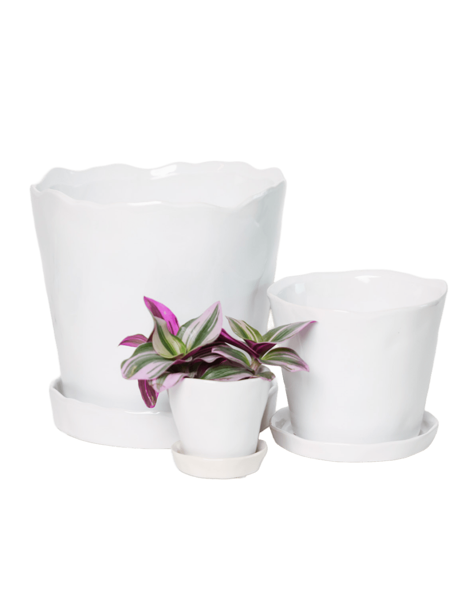 Tika Ceramic Pot & Saucer Set With Drainage - Chive US Wholesale