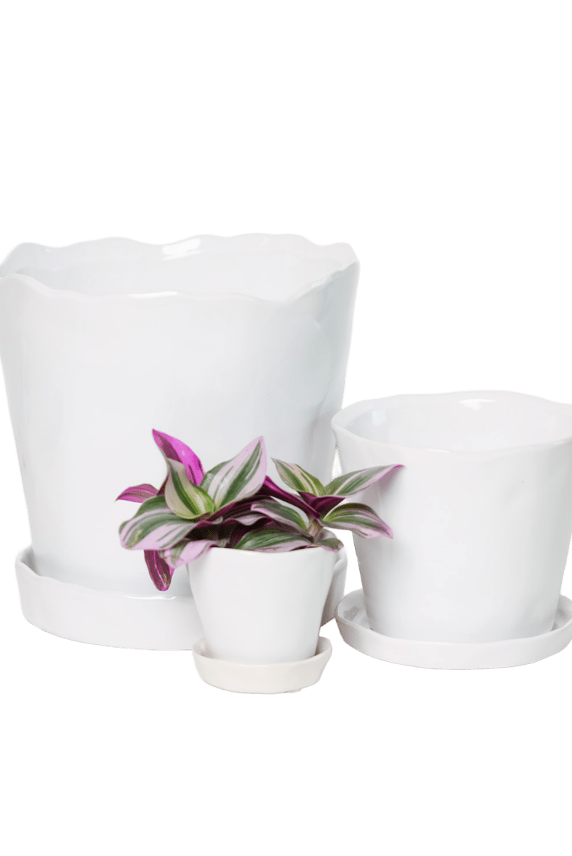 Tika Ceramic Pot & Saucer Set With Drainage - Chive US Wholesale