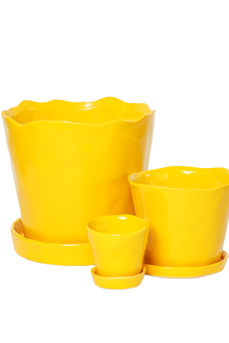 Tika Ceramic Pot & Saucer Set With Drainage - Chive US Wholesale