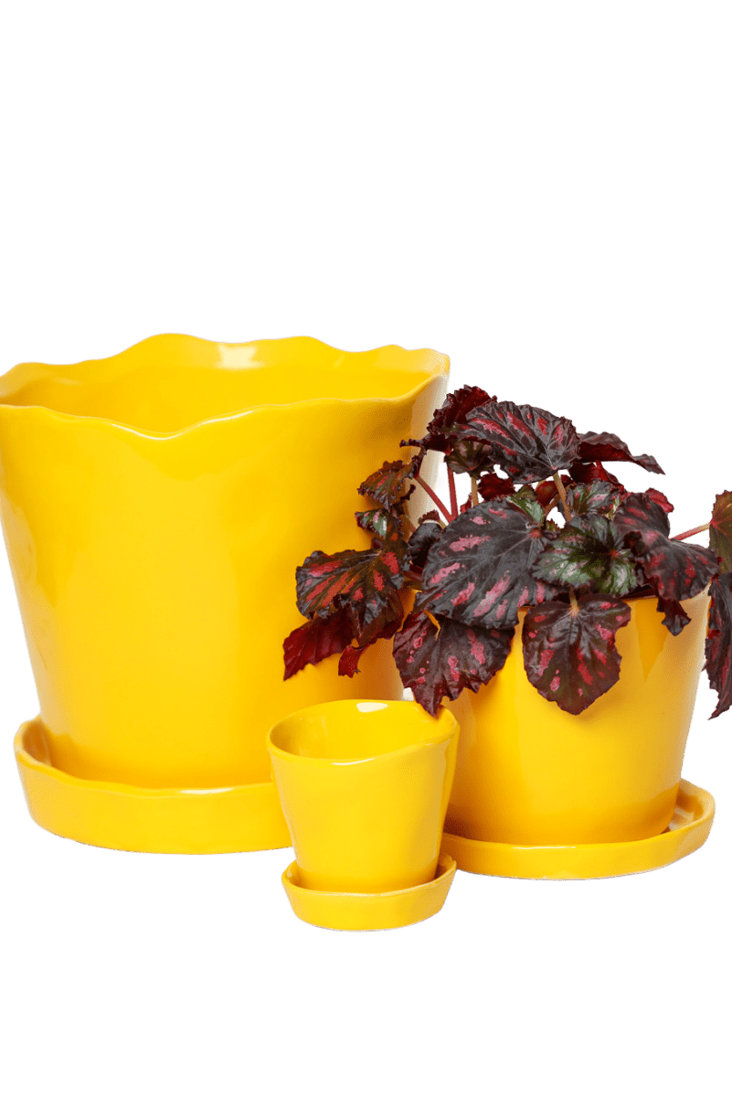 Tika Ceramic Pot & Saucer Set With Drainage - Chive US Wholesale