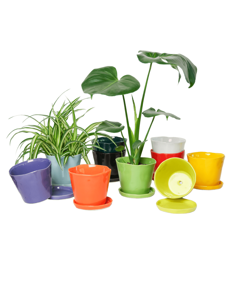 Tika Ceramic Pot & Saucer Set With Drainage - Chive US Wholesale