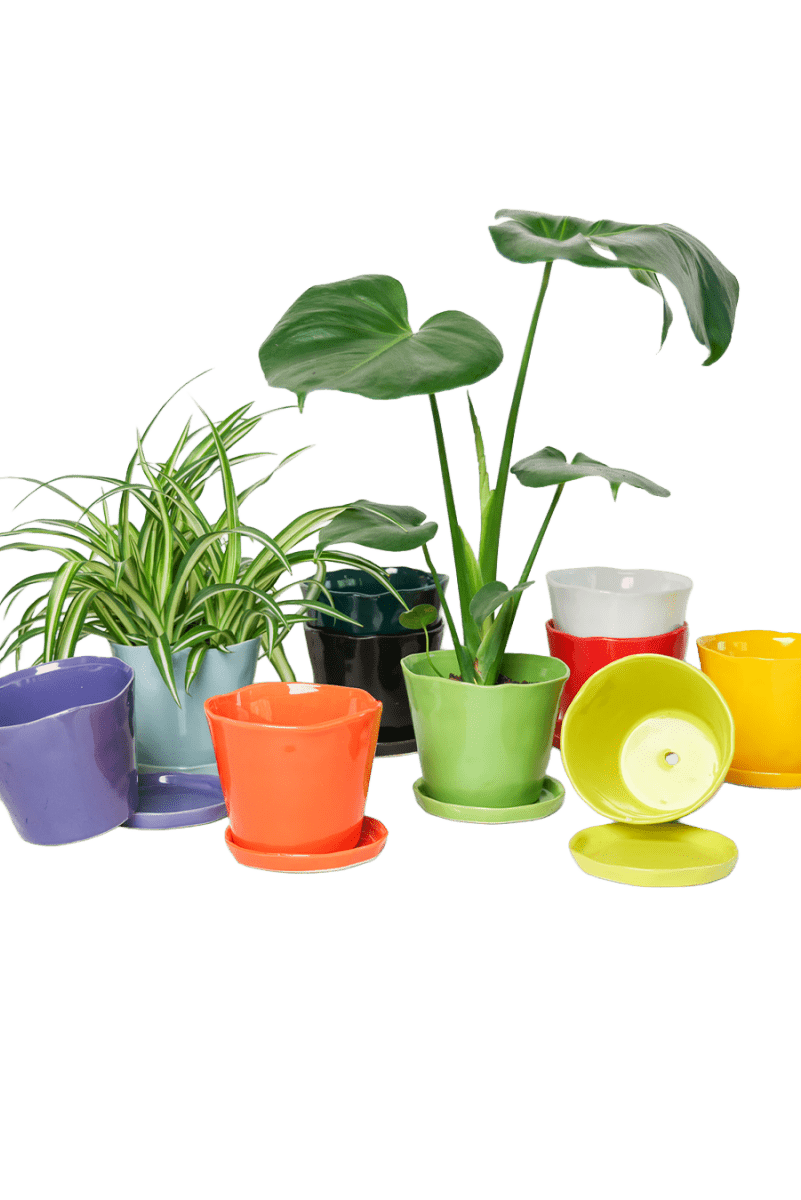 Tika Ceramic Pot & Saucer Set With Drainage - Chive US Wholesale