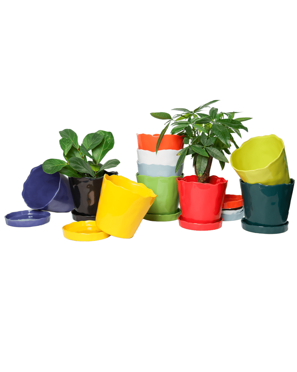 Tika Ceramic Pot & Saucer Set With Drainage - Chive US Wholesale