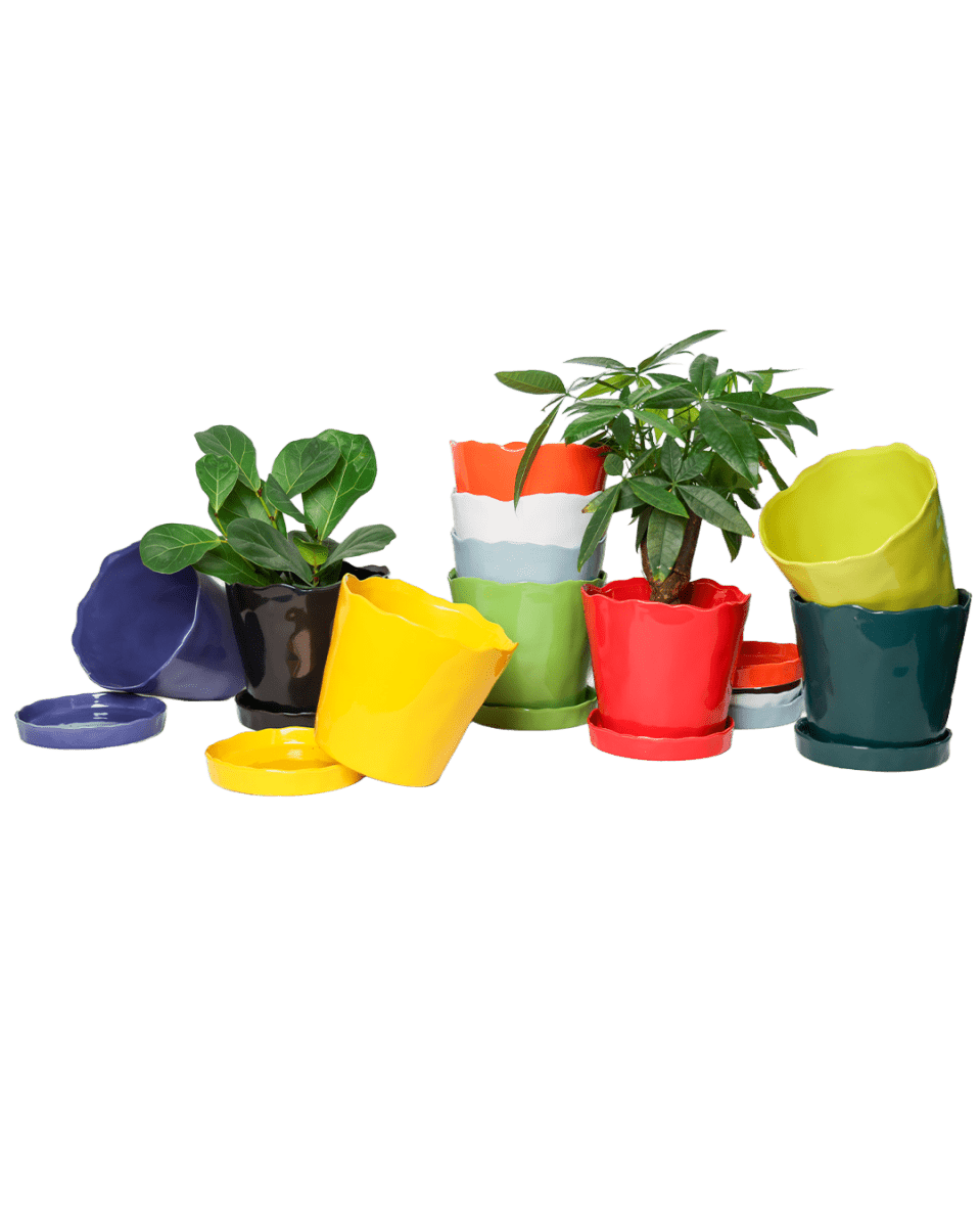 Tika Ceramic Pot & Saucer Set With Drainage - Chive US Wholesale