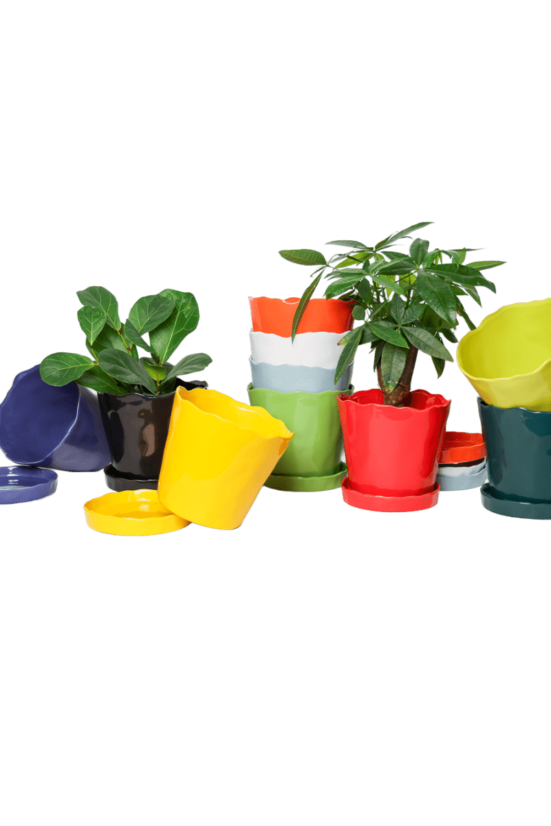 Tika Ceramic Pot & Saucer Set With Drainage - Chive US Wholesale