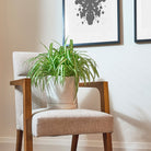 Tika Ceramic Pot & Saucer Set With Drainage - Chive US Wholesale