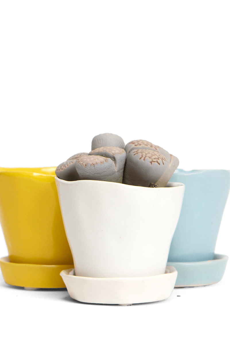 Tika Ceramic Pot & Saucer Set With Drainage - Chive US Wholesale