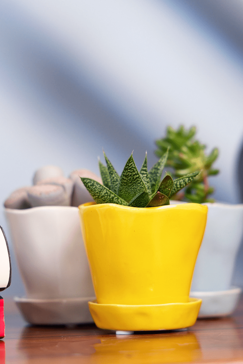 Tika Ceramic Pot & Saucer Set With Drainage - Chive US Wholesale