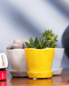 Tika Ceramic Pot & Saucer Set With Drainage - Chive US Wholesale