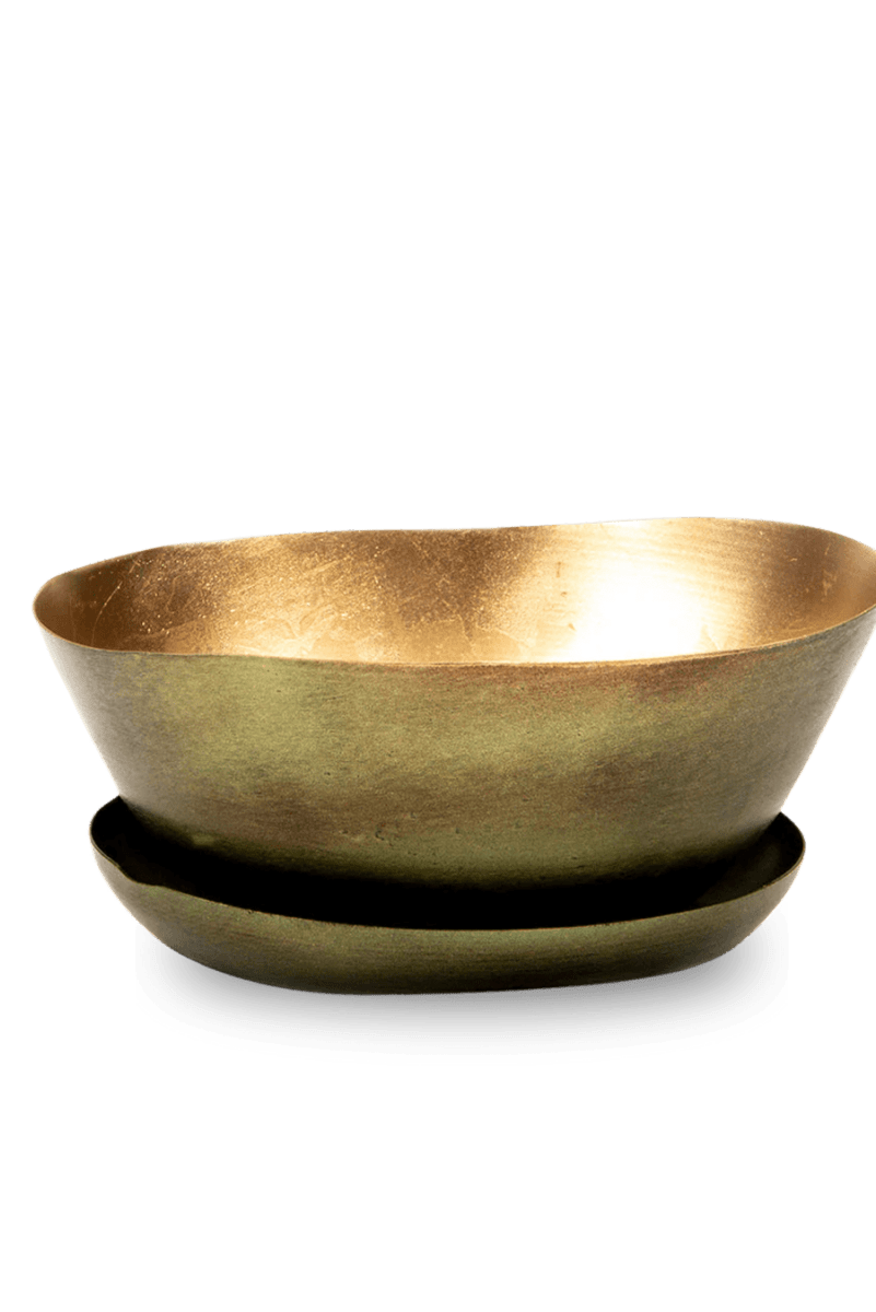 Topper Metal Succulent Dish - Chive US Wholesale