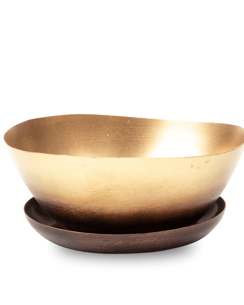 Topper Metal Succulent Dish - Chive US Wholesale