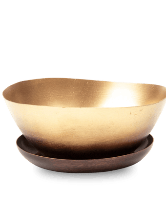 Topper Metal Succulent Dish - Chive US Wholesale